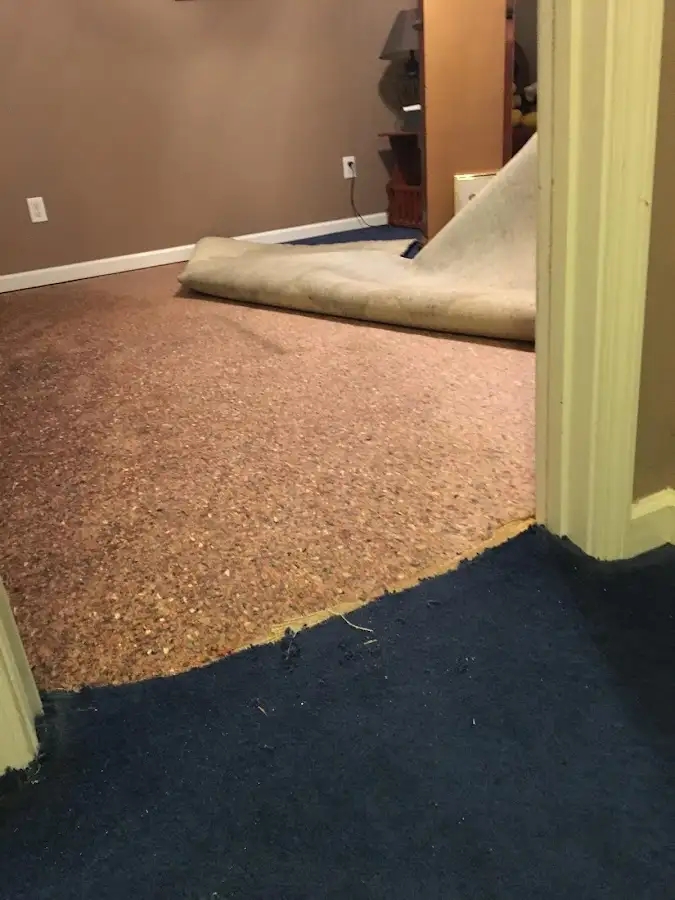 Carpet pad removal revealing water damage during Drying & Dehumidification in Enfield