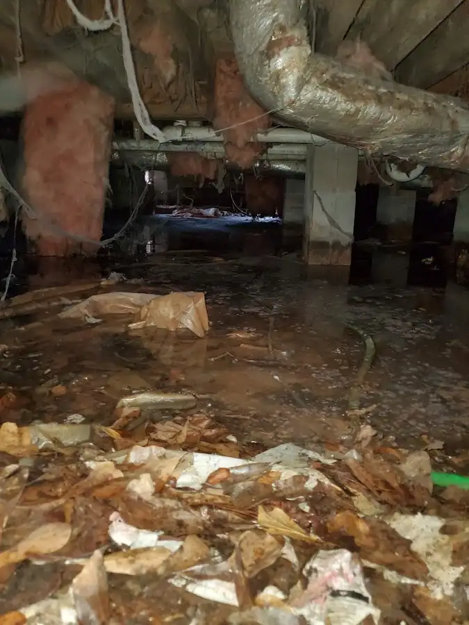 Crawl space flood assessment for Leak Detection & Repair in Enfield